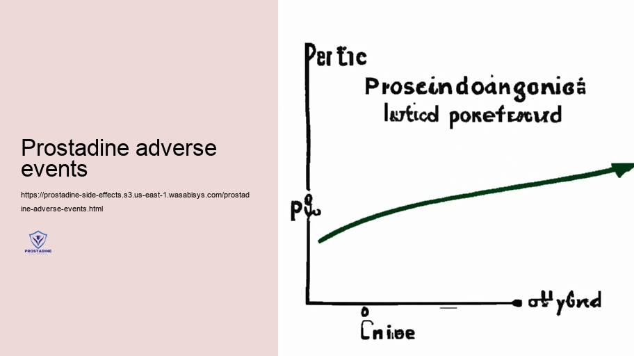 Long-Term Usage: Possible Collective Unfavorable Outcomes of Prostadine